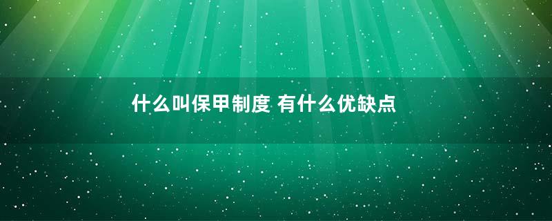 什么叫保甲制度 有什么优缺点